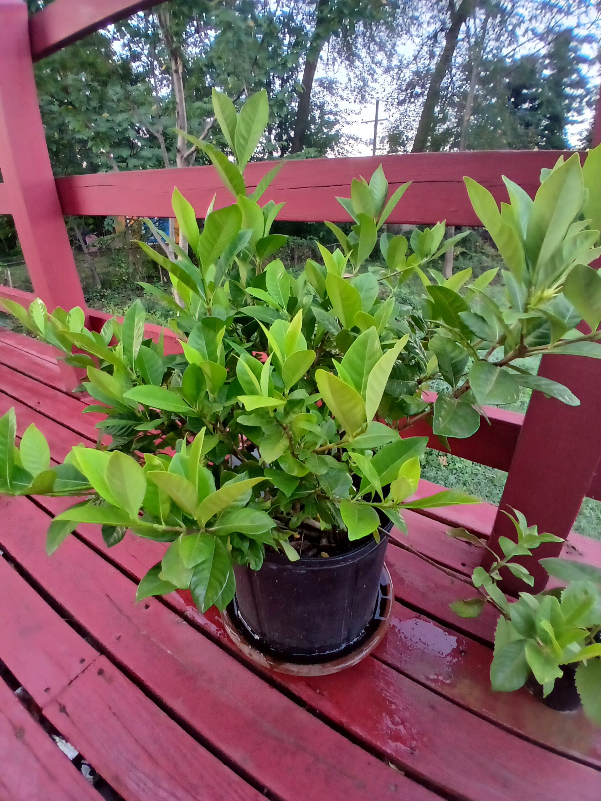 Building Friendship that would last